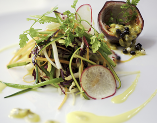 Recipe - Green papaya and garden vegetable salad with papaya vinaigrette Recipe - Green papaya and garden vegetable salad with papaya vinaigrette