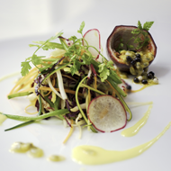 Green papaya salad with garden vegetables and a papaya vinaigrette