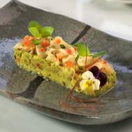 Hass avocado guacamole and marinated gilt-head sea bream ceviche