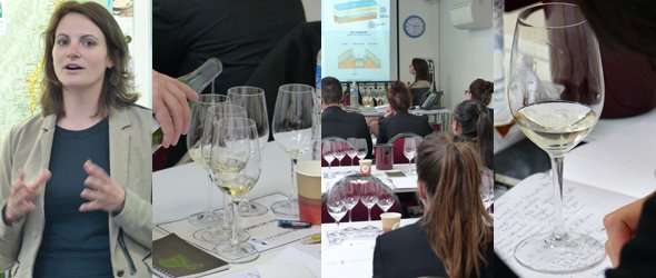 wine and management class about flavours