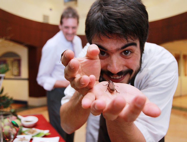 Seminar in Edible Insects in a Gastronomic Context