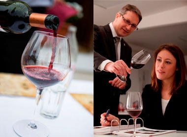 Spotlight on the Wine and Management Programme