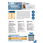 Cuisine Diploma key information