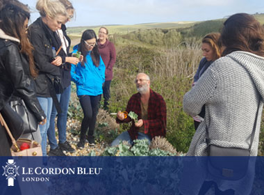 Nutrition students go foraging on the South Coast of England