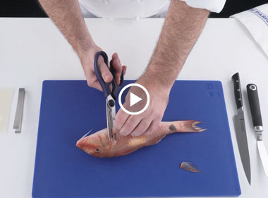 Technique de cuisine : nettoyer un poisson rond et en lever les filets