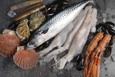 Fish and shellfish short course