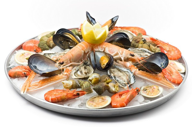Short Courses | Shellfish