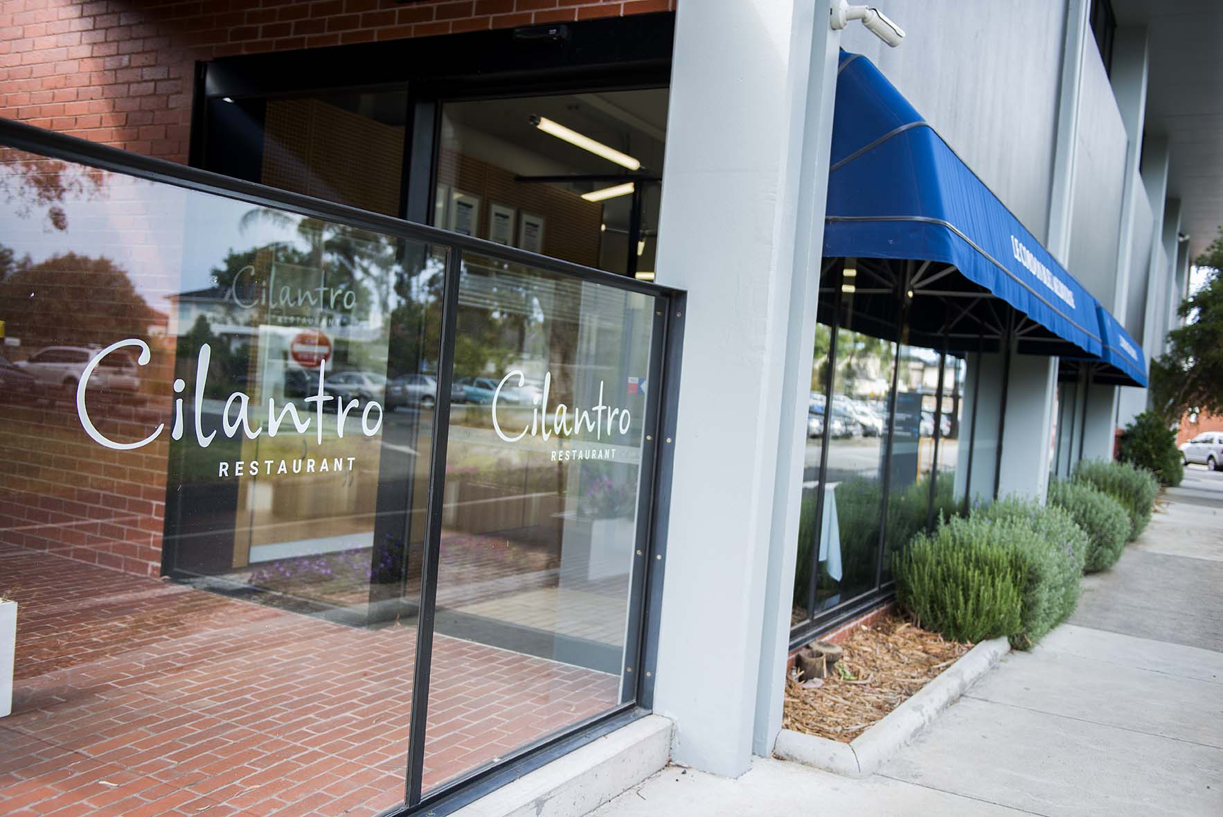 Cilantro Restaurant