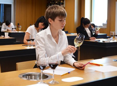 The 5 strong points of the Wine and Management programme 