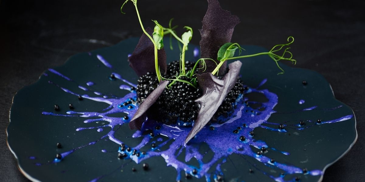 Create A Unique Dining Experience With Immersive Technology 40 OFF