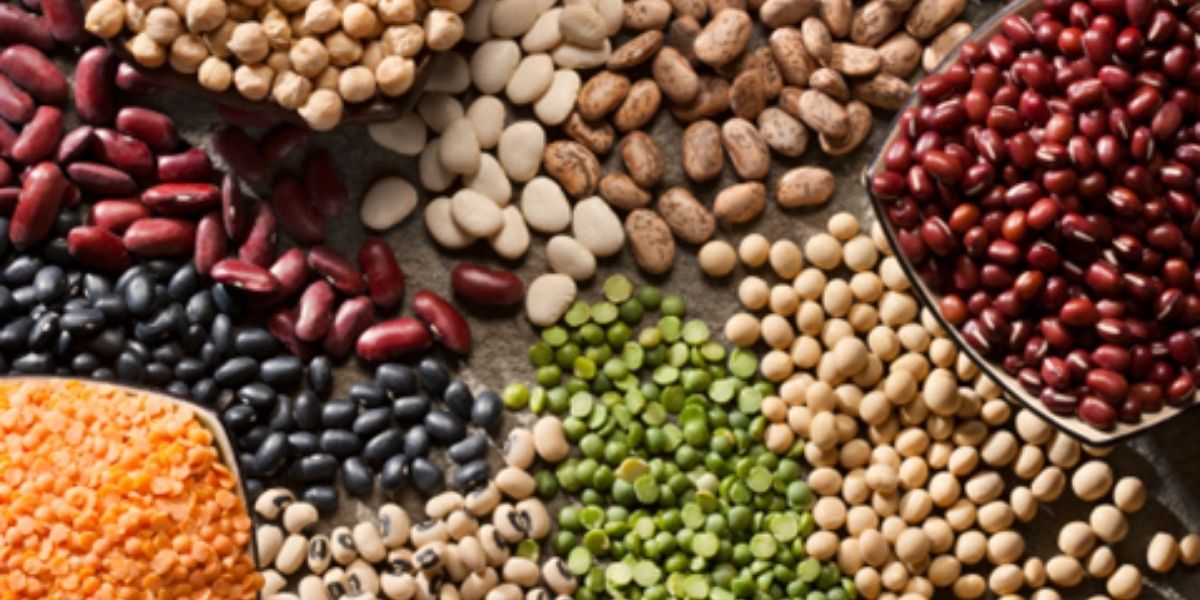 Legumes: The Ancient Superfood of the Future