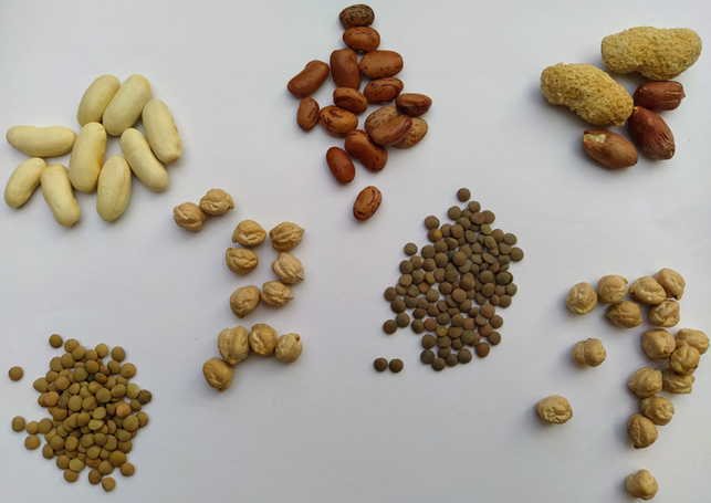 Legumes: The Ancient Superfood of the Future - By Pilar Pérez