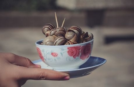 Happiness is a bowl of snails in Saigon