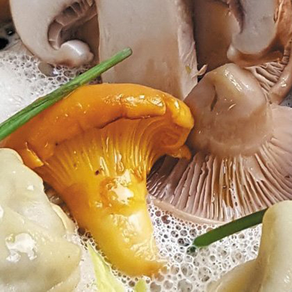Basic Cuisine Certificate