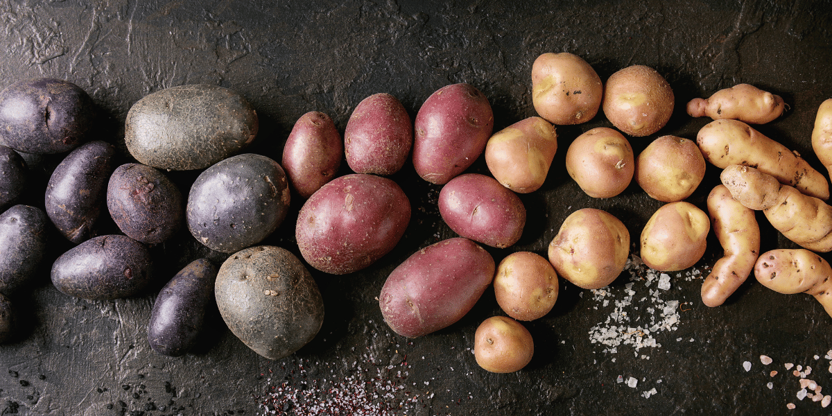 Selection of different potato varieties on dark grey background