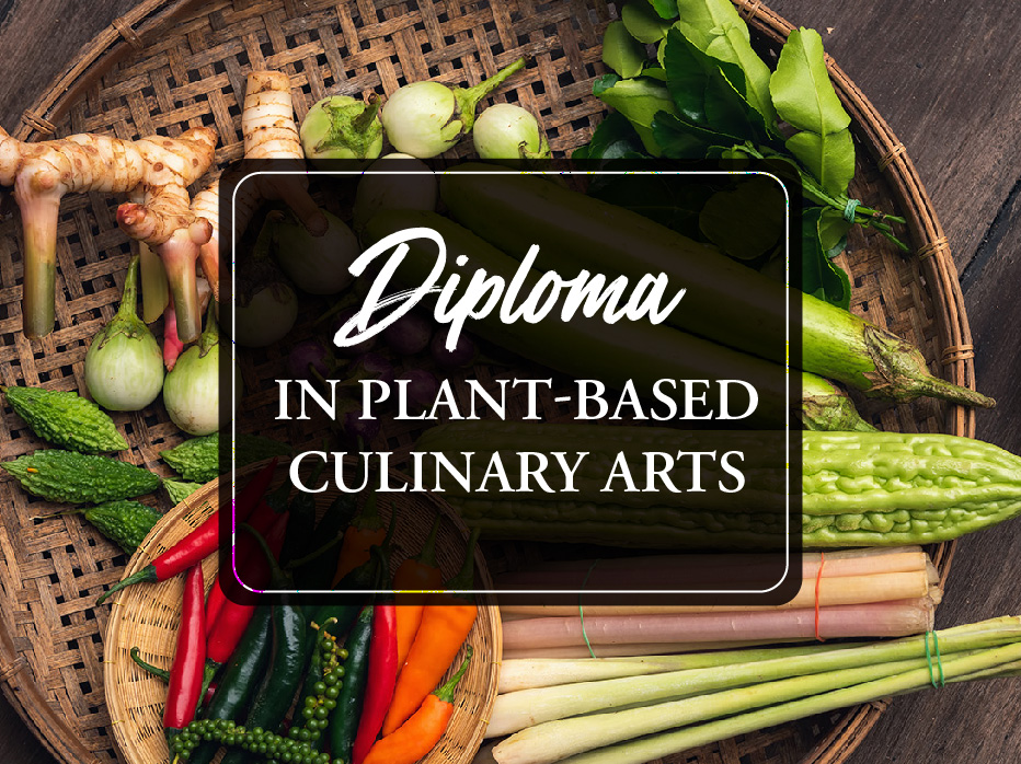 Launch of Diploma in Plant-Based Culinary arts