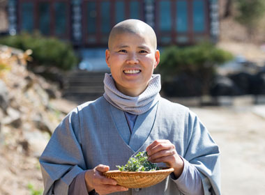 Guest Demonstration with Venerable Yeogeo