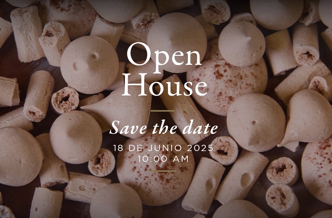 OPEN HOUSE JUNIO 2025