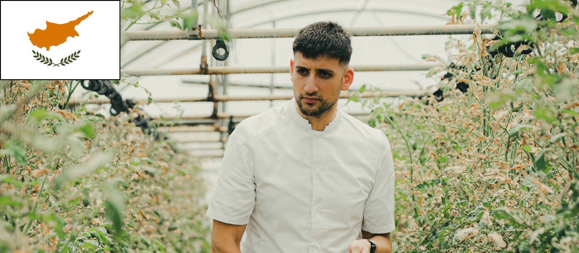 alumni Dimitris Kamaritis success story