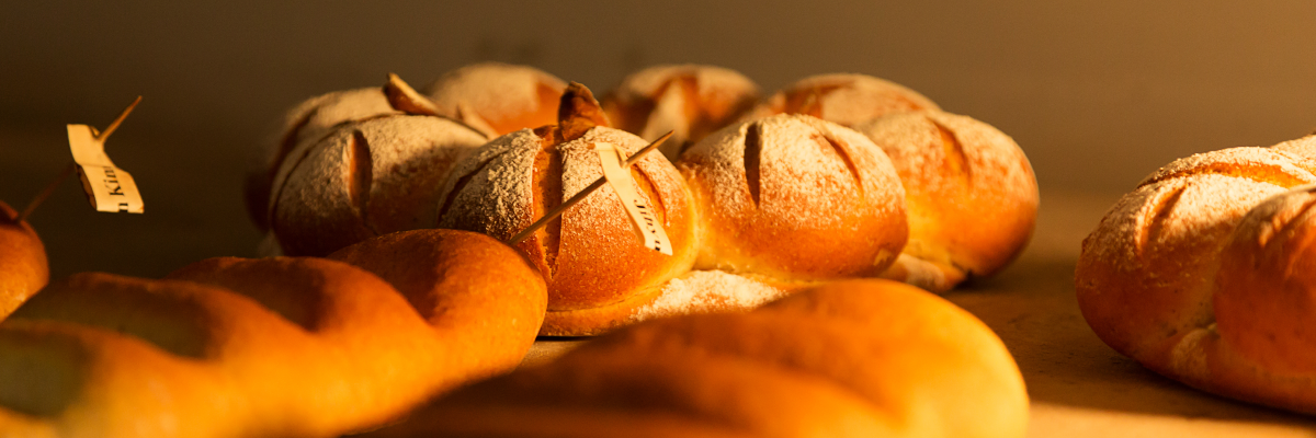 르 꼬르동 블루-숙명 아카데미 제빵 디플로마