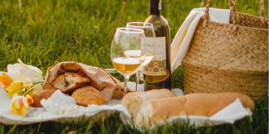 [와인 추천] 4월, 한강 피크닉 갈 때 챙겨야 할 와인