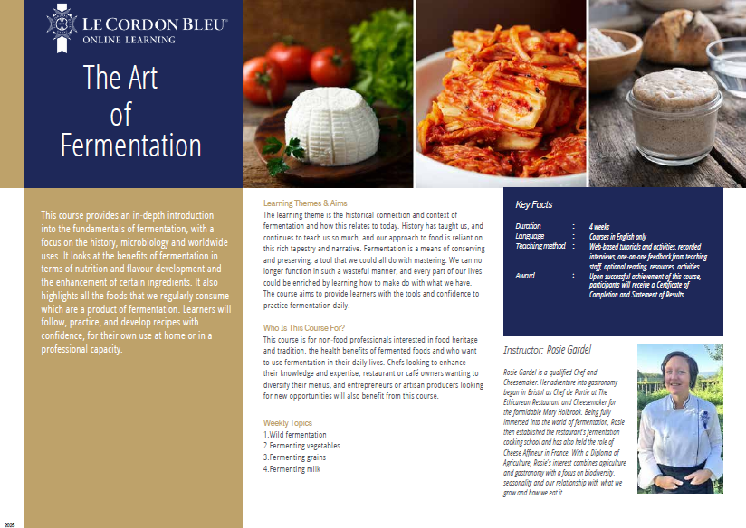 The Art of Fermentation