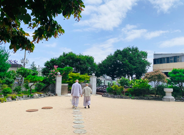 New Korean Temple Stay sponsorship for plant-based students