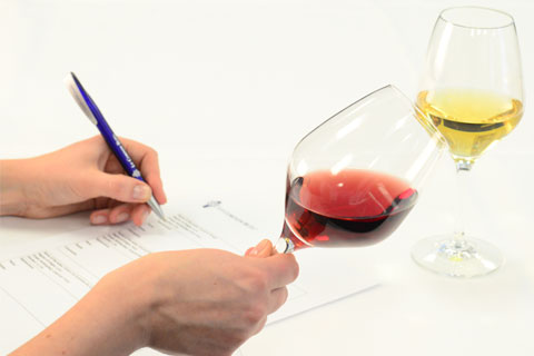 evening wine course