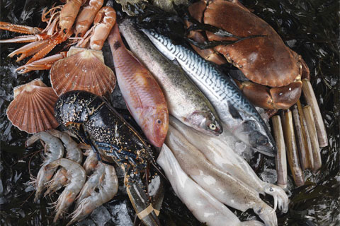 Fish and Shellfish short course at Le Cordon Bleu London